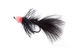 Leech Egg Sucking Black Salmon