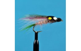 Little Rainbow Trout