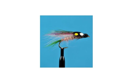 Little Rainbow Trout