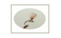 Deer Hair Emerger