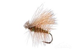 Banded Olive Elk Hair Caddis