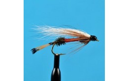 Royal Coachman Streamer