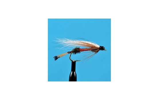 Royal Coachman Streamer