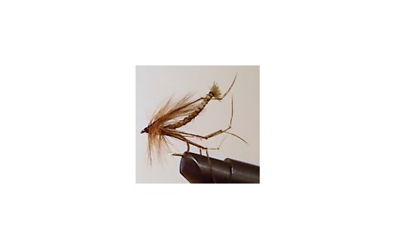 DETACHED DADDY LONG LEGS OLIVE Dry