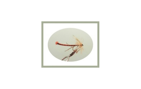 Detached Daddy Long Legs Orange