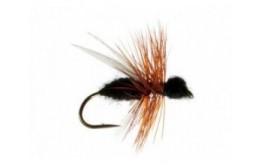 CDC Flying Ant (Black)