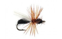 CDC Flying Ant Black