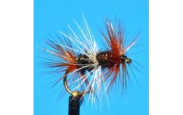 Double Renegade (Double Trouble)