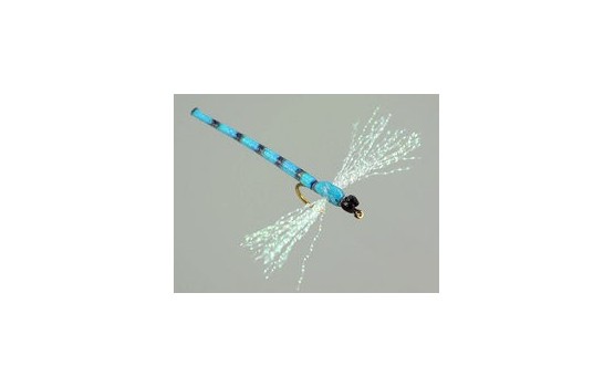 Dragonfly blue