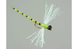 Dragonfly green