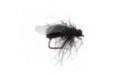 Fat Black Winged Foam Ant
