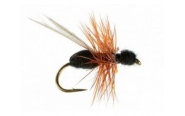 Flying Ant (Black)