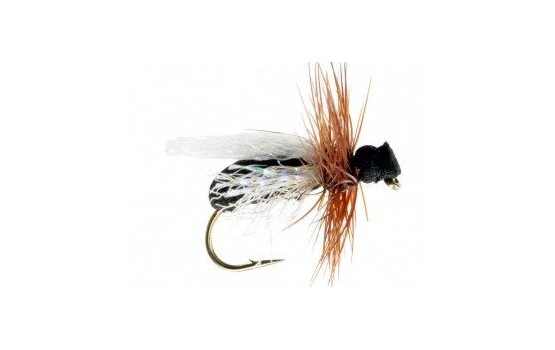 Flying Black Ant Foam