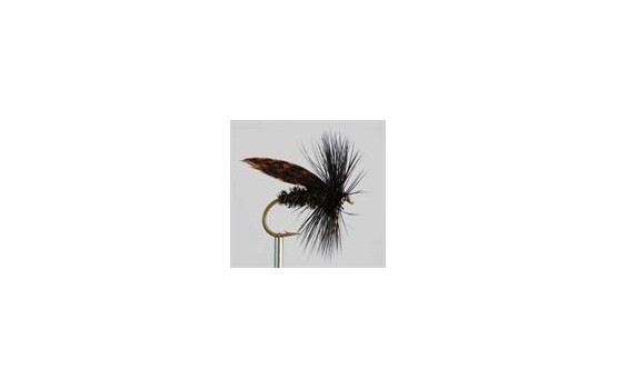 Dry Fly ALDER