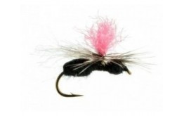 Hi Viz Flying Ant Black