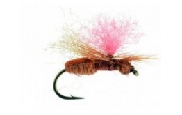 Hi Viz Flying Ant Cinnamon