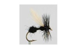 Dry Fly BLACK ANT