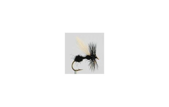 Dry Fly BLACK ANT