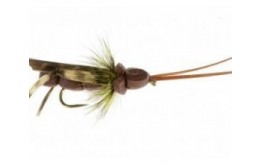 irresistible cricket