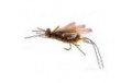 King Kong Golden Stonefly Adult