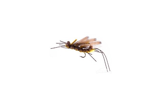 King Kong Golden Stonefly Adult