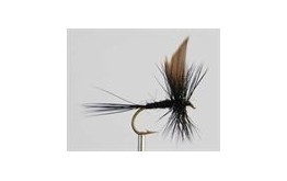 Dry Fly BLACK GNAT