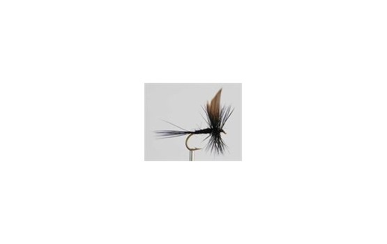 Dry Fly BLACK GNAT