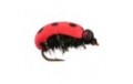 Lady Bug
