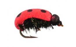 Lady Bug