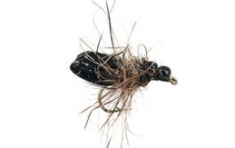 Marks Superfloating Ant Black