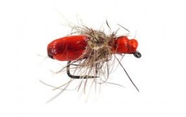 Marks Superfloating Ant Orange