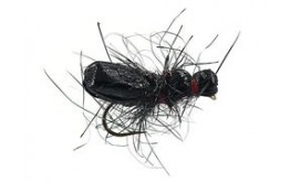 Marks Superfloating Ant Redhead