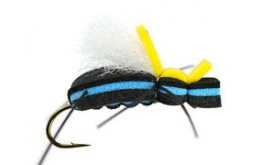 Mauro Raspinis Escarabajo Blue