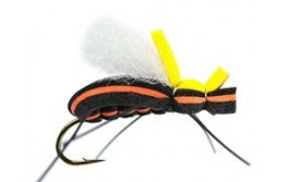 Mauro Raspinis Escarabajo Orange