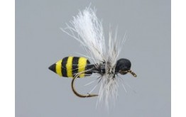 Medium Wasp HF