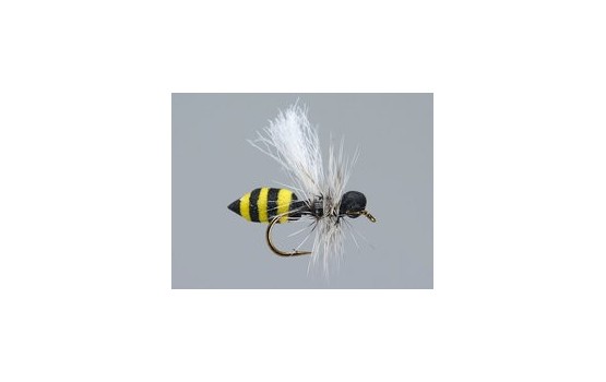 Medium Wasp HF
