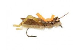 More or Less   Furry Foam   Cream