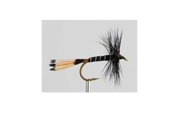 Dry Fly BLACK PENNEL SPIDER