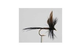 Dry Fly BLACK QUILL