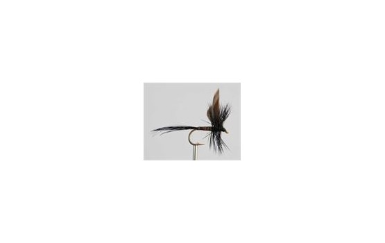 Dry Fly BLACK QUILL