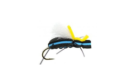 Raspinis Escarabajo 5