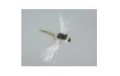 Realistic Foam Dragonfly Grey