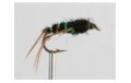 Dry Fly BLACK RAIDER