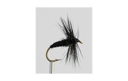 Dry Fly BLACK SPIDER