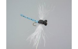 Superb Large Dragonfly Blue