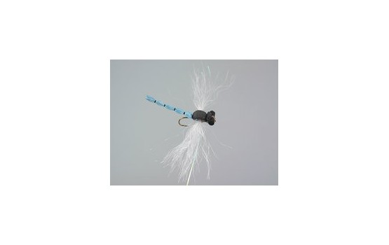 Superb Large Dragonfly Blue