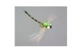 Superb Large Dragonfly Green