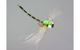 Superb Large Dragonfly Green