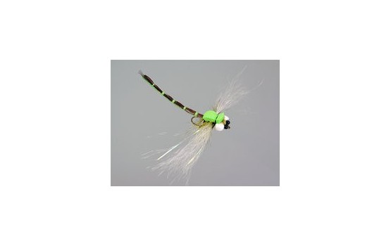 Superb Large Dragonfly Green