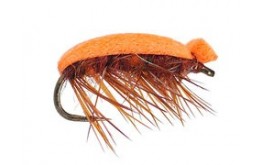 Tonis Orange Foam Beetle